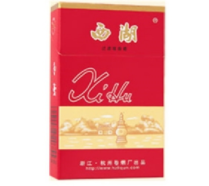 韩国小姐姐户外烟嗓(韩国烟嗓女歌手)